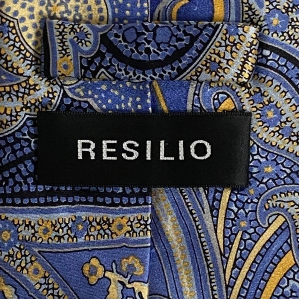 Resilio‎ 100% Silk Paisley Tie (Necktie)